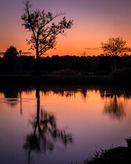 Sunset photo of a tree reflecting in the water, Tüskésrét, Pécs, Hungary