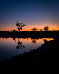 Fototapeta na wymiar Sunset photo of a tree reflecting in the water, Tüskésrét, Pécs, Hungary