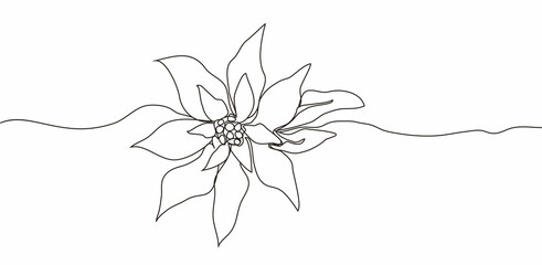 Continuous one line drawing. Concept  holiday, poinsettia flower isolated on white background. hand-drawn,  close-up. modern design. for print, banner, card, paper, poster. illustration