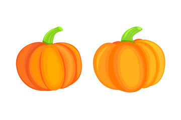 Orange Pumpkins Isolated on White Background. Cartoon Style.