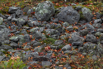 Pile of Gray Stones in Leaves Backdrop Rock Nature Texture Real Pattern