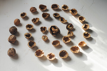 Walnut shell on white table