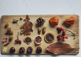 autumn still life composition with leaves, nuts, berries, cones and dry oranges on wooden board above white table