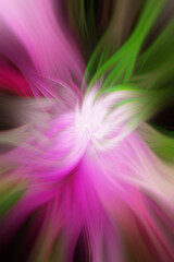 abstract colorful background illustration with flower .Multi Color Gradient Blur Bright Background.Texture Wallpaper