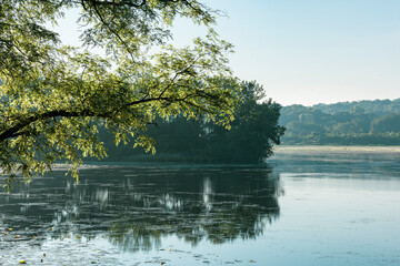 Early morning on a still lake with trees and branches.