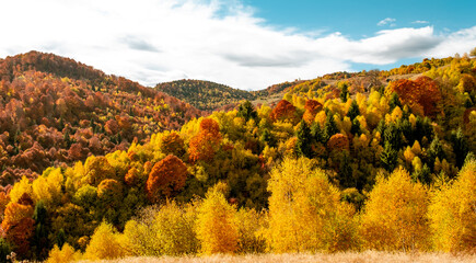 Naklejka premium beautiful autumn landscapes in the Romanian mountains, Fantanele village area, Sibiu county, Cindrel mountains, Romania