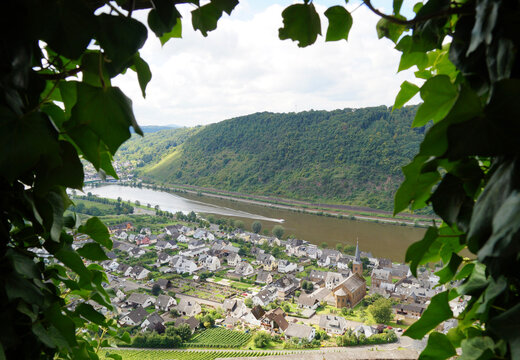 The view of the Moselle river from the Thurant Castle (Burg Thurant, also Thurandt or Thurand) above the villages of Alken on the Moselle in Germany