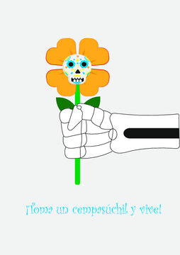 Calavera. Día de muertos. Noviembre. Dibujo animado. Flor de cempasuchil.