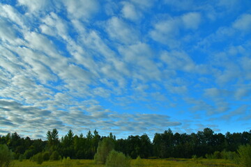 Fototapeta na wymiar beautiful light clouds in the blue sky