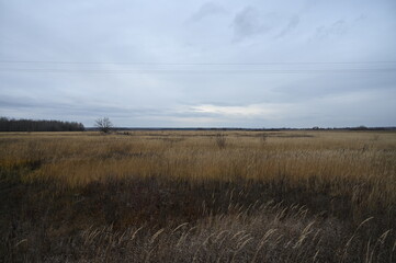 Autumn cloudy day. Russian steppes. Weather before rain.