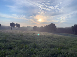 Nebel am Morgen 