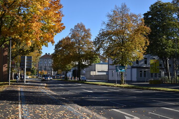 autumn in the city