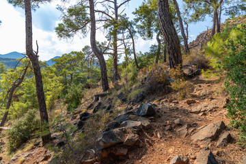 Beautiful nature landscape of Turkey coastline. View to Lycian way. This is ancient trekking path famous among hikers.