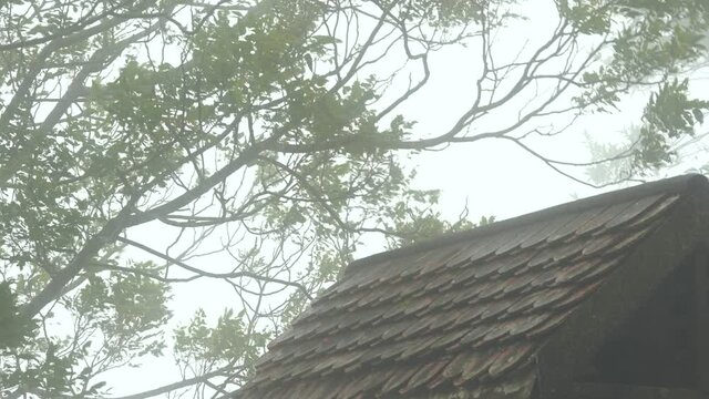 The atmosphere of clouds, rain, strong winds and fog, accompanied by cold weather on the top of the mountain. Nakhon Ratchasima Province, Thailand 2021-10-26