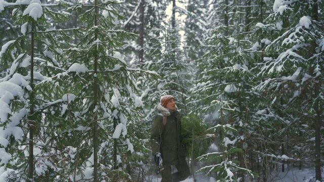 A man comes out of a snowy forest with a Christmas tree on his shoulder. A man cut down a fir tree in the forest. Hiking in the forest for a Christmas tree