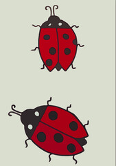 Set of ladybugs. Flat vector illustration.