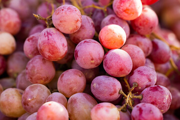 fresh grapes in the market