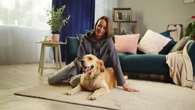 Young woman petting dog in living-room, golden retriever lying with female owner near sofa. Handler stroking happy labrador puppy on floor, breathing with tongue out. 