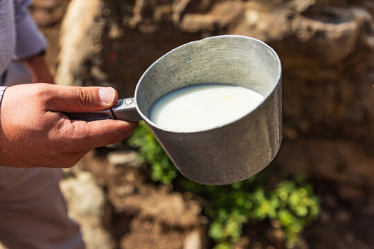 Milk to be churned into butter in rural Tajikistan.