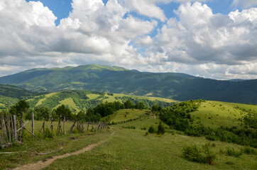 Landscape of bright summer day in Carpathian mountains, panorama of Carpathians, blue sky, trees and green hills, beautiful view