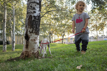 Cute girl and pet whippet puppy in a park