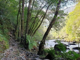 Río en Galicia