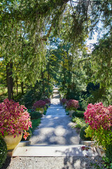 Obraz premium Walkway in forest with purple planters