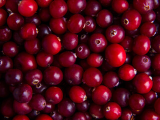 background of ripe fresh cranberries close up