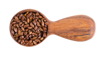 Cassia tora beans in wooden spoon, isolated on white background. Sicklepod or Senna obtusifolia. Clipping path. Top view.