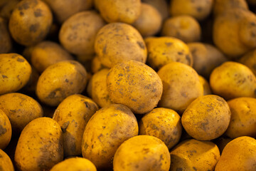 fresh potatoes in the market