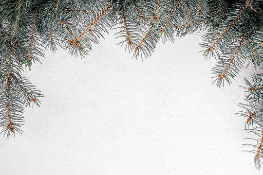 Background image of white uneven concrete surface with Christmas tree branches. Top view, copy space