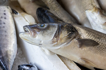 delicious fresh fish in the market