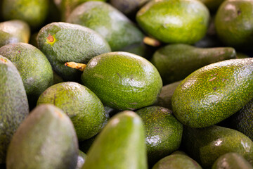 fresh avocados at the market
