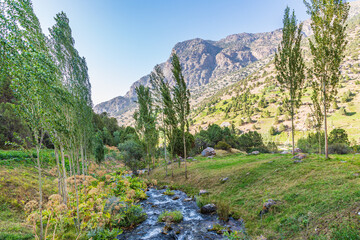 Fototapeta na wymiar A small creek in the mountains of Tajikistan.