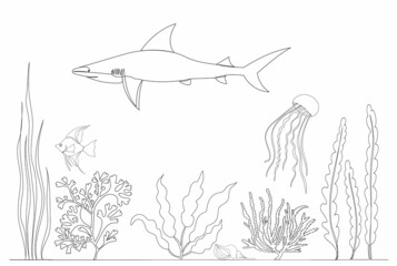 sketch shark swims in the sea vector