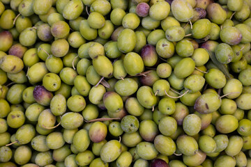 fresh olives in the market