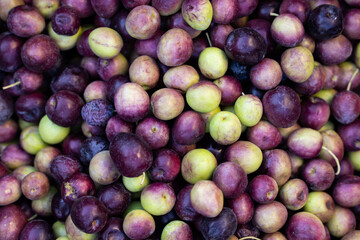 fresh olives in the market
