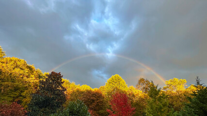 Fall Rainbow