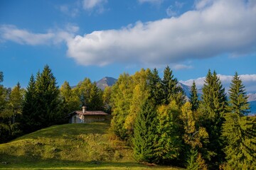 cottage in the woods