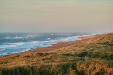 Evening at the dunes at the danish coastline in autumn