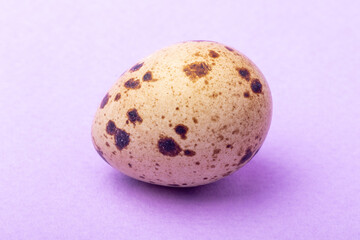 Obraz premium a quail egg on a lilac background
