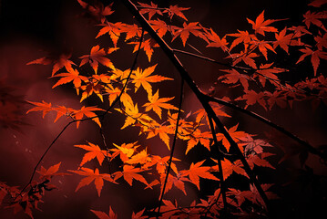 autumn leaves background