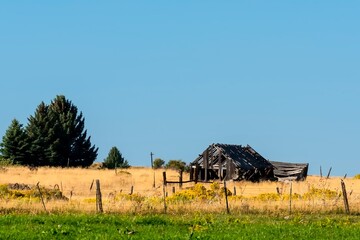 Abandoned Barn