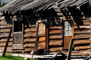 Old Log Home Door and Windows