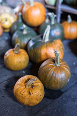 Colorful images of pumpkins 
