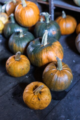 Colorful images of pumpkins 