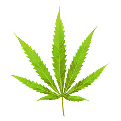 Vector illustration of a cannabis leaf.