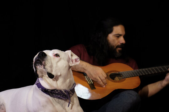 Handsome man holding a guitar with his dog