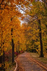 Pathway Through An Autumn Park
