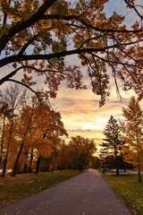 Road In An Autumn Park At Sunrise